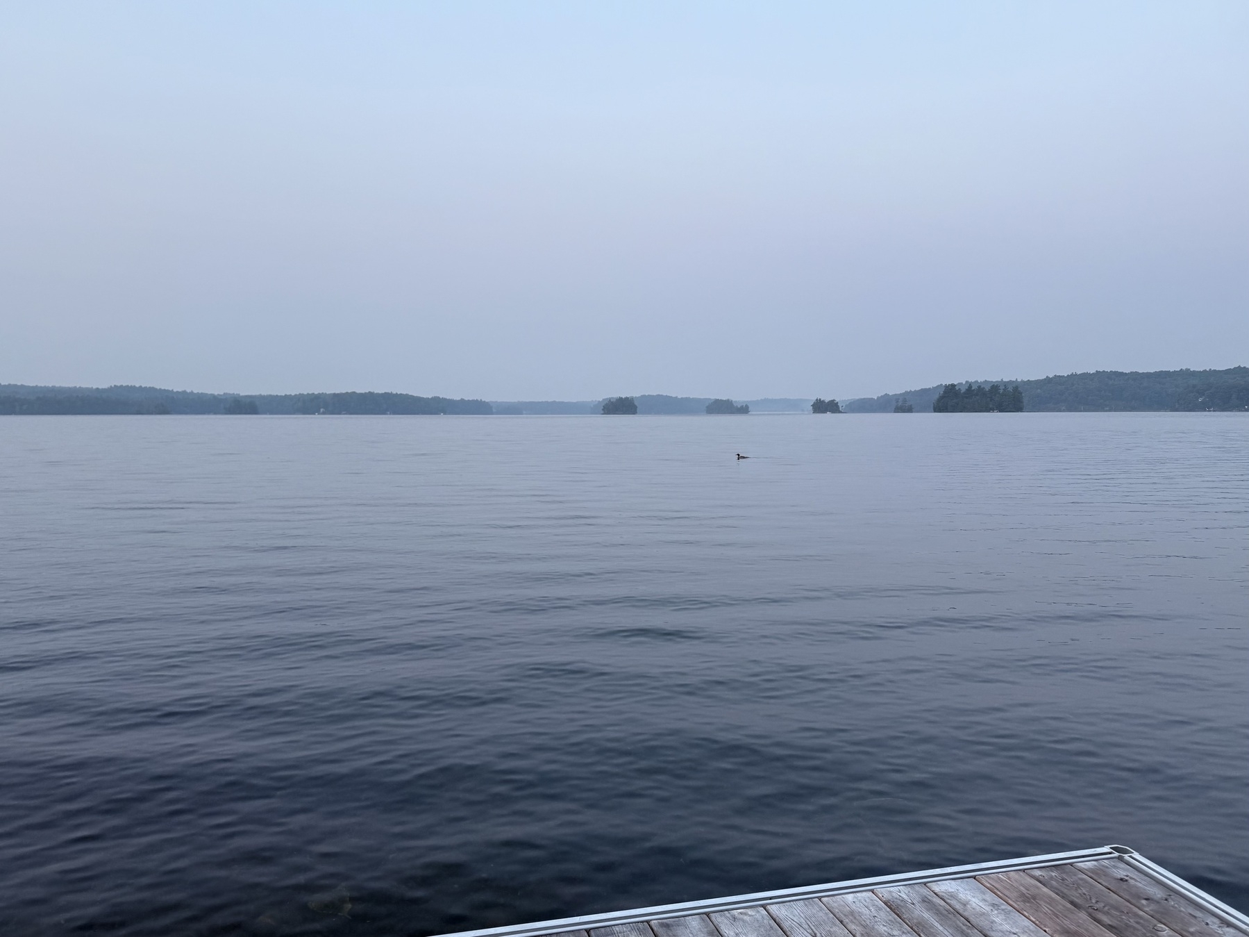 A serene lake view showcases calm water, distant trees, and a wooden dock in the foreground under a hazy sky.