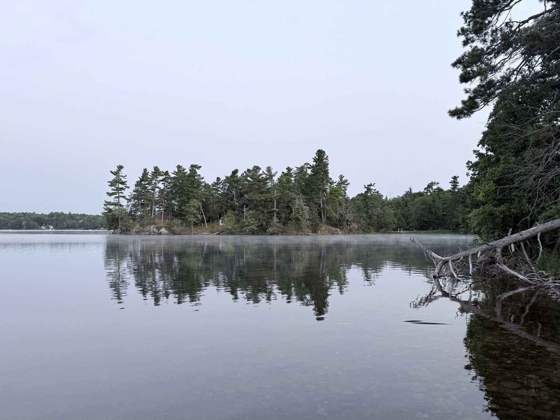 Calm water reflects a forested shoreline with trees and a gentle, misty atmosphere.