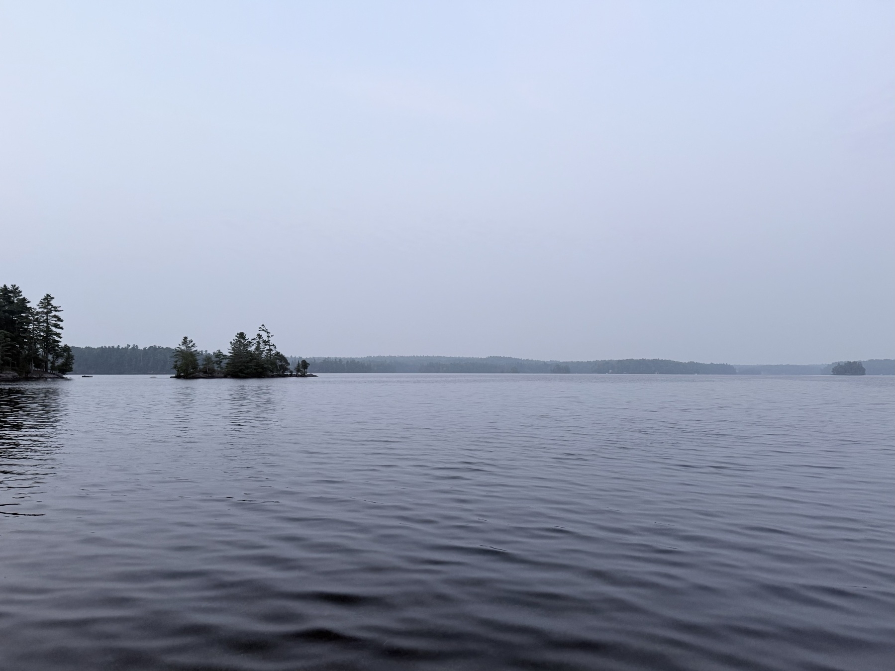 A calm body of water, surrounded by distant trees and an overcast sky, creates a serene landscape.